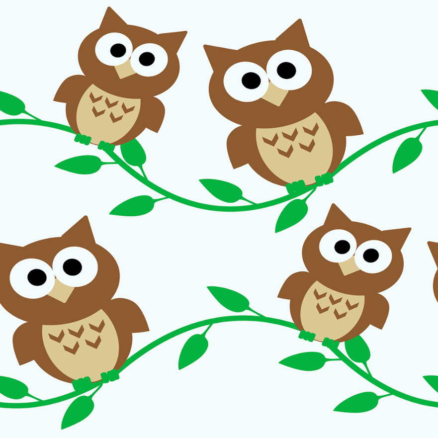 owl, owls, cartoon