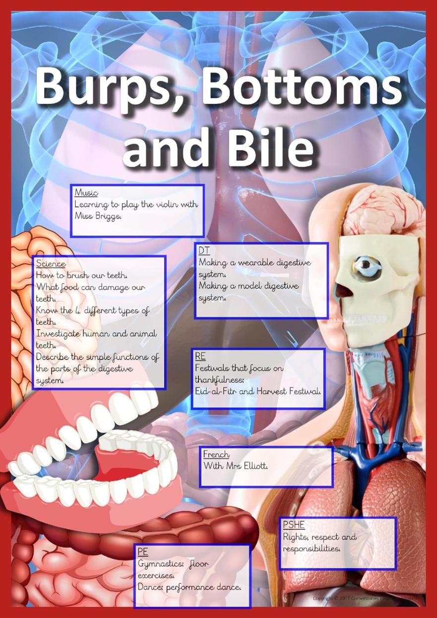 Burps, Bottoms and Bile Topic Overview